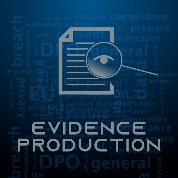 Evidence production icon