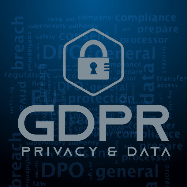 GDPR privacy and data icon